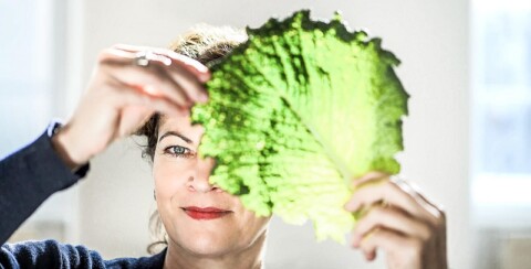 hanni-ruetzler-salatblatt-cthomas-wunderlich