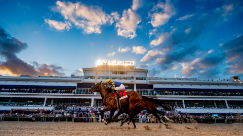 2025 PEGASUS WORLD CUP RETURNS TO SOUTH FLORIDA