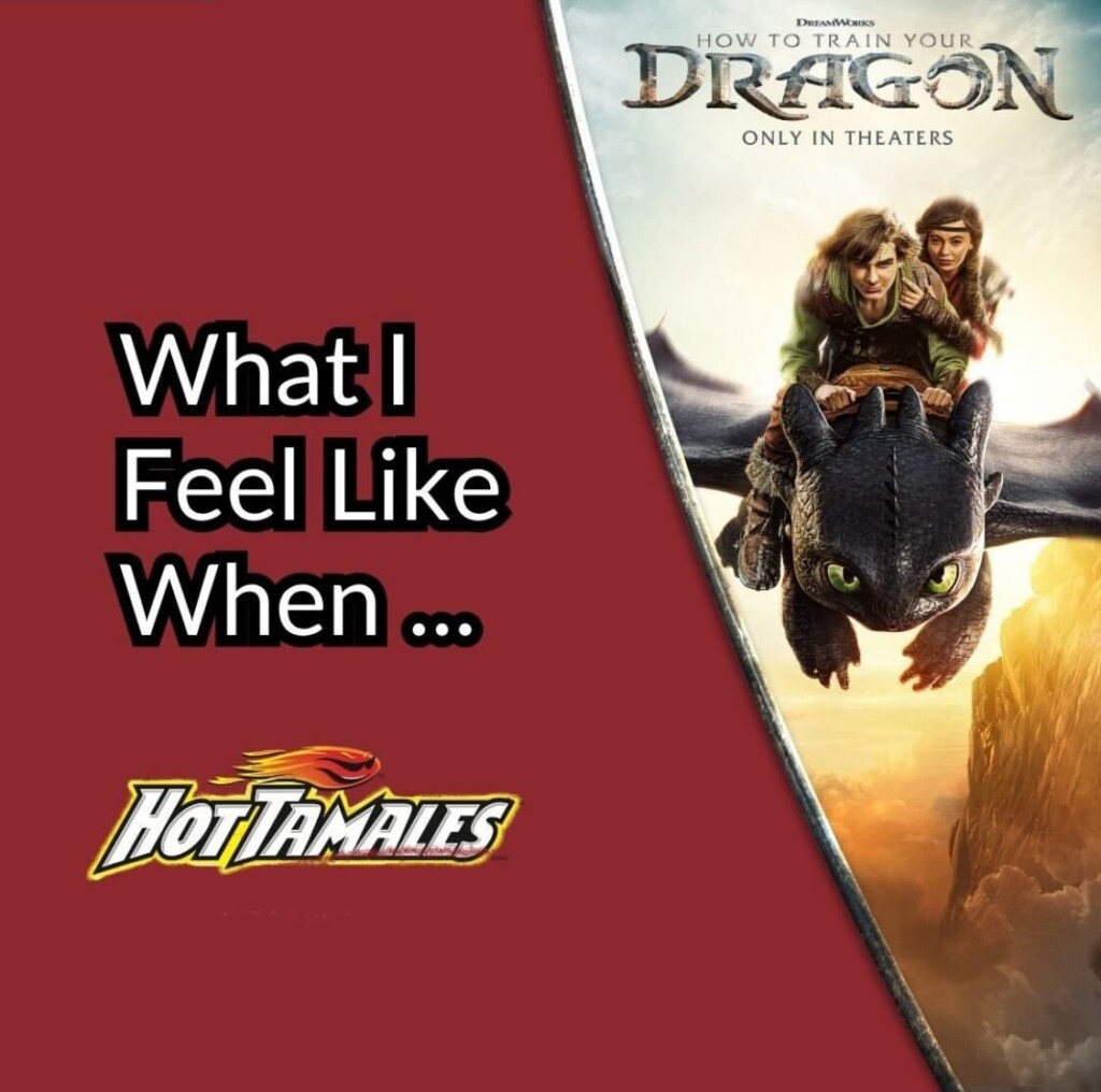 How to Train Your Dragon