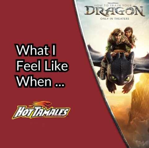 How to Train Your Dragon