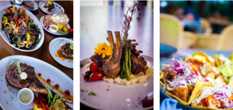 World-Class Dining Experiences