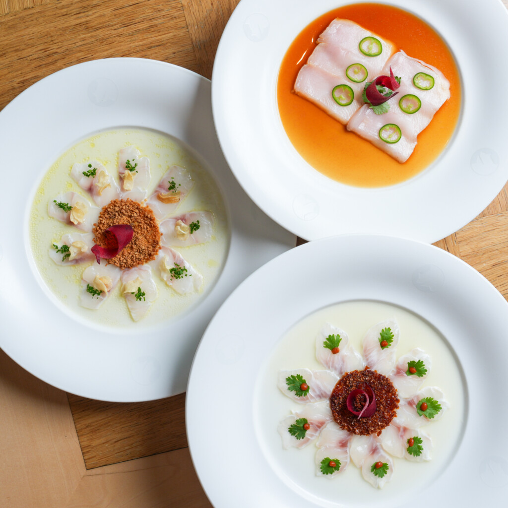 Nobu North Coast Opens at OGAMI: A Landmark Debut for World-Class Japanese Luxury on Egypt’s Mediterranean