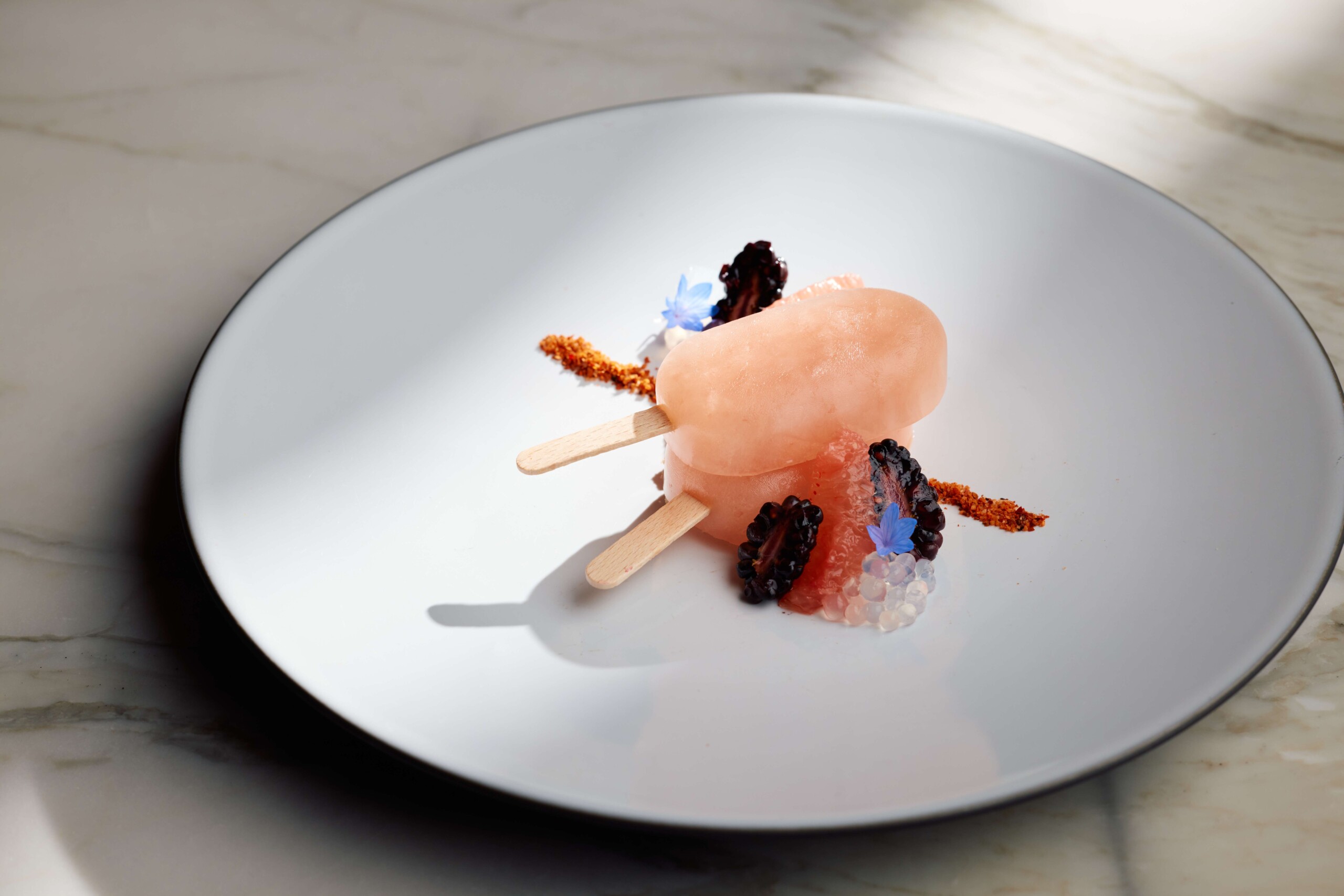 Conrad_Orlando_Ceiba_Paloma Paleta