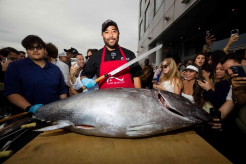 Copy of photo-3e1543c5-f3f7-45cd-9eb6-1cac863e686e