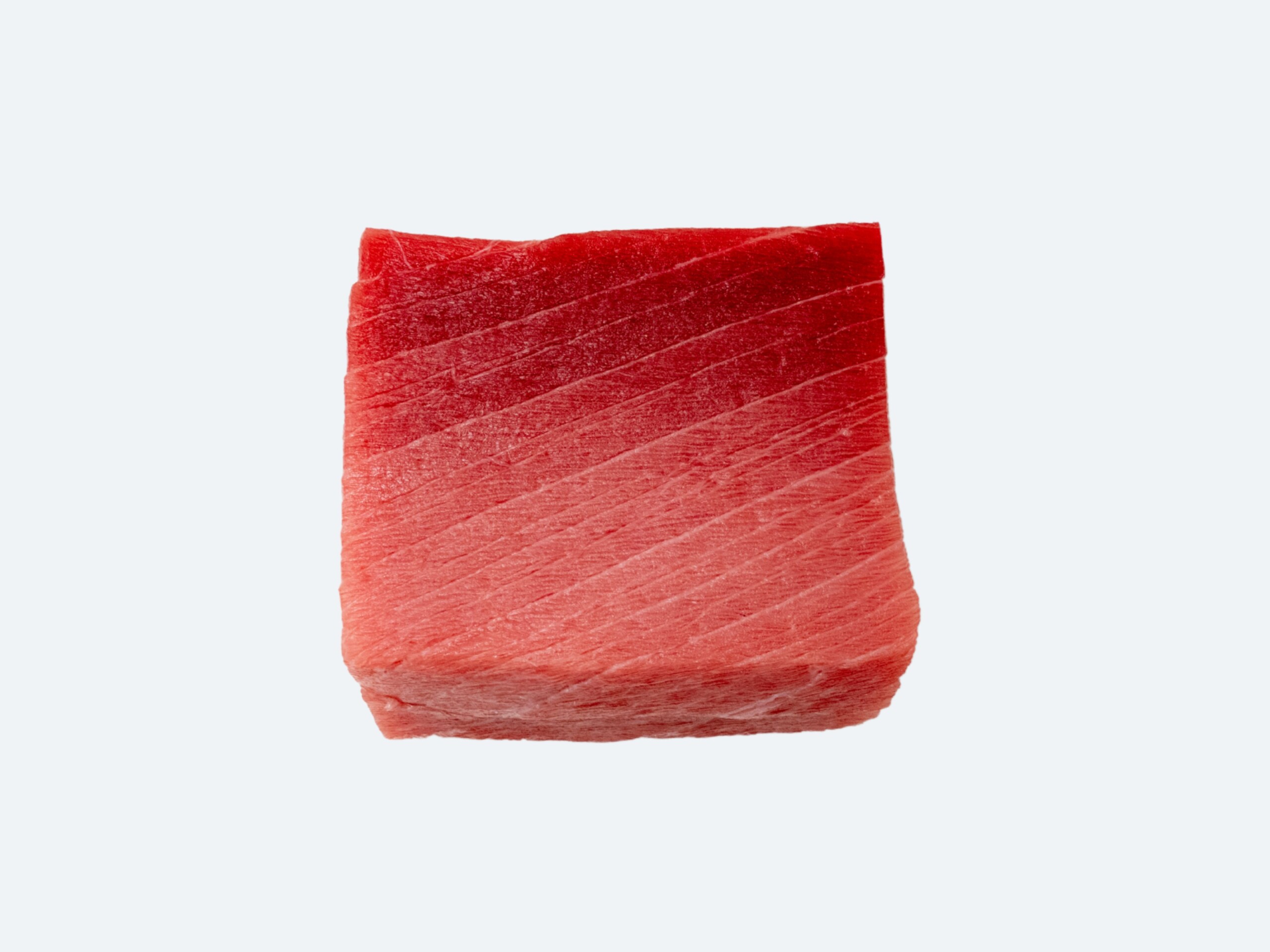 No.1_Auction_Bluefin_Tuna_Chu-Toro - Copy