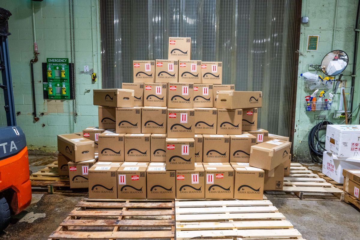 Copy of 4-_Z727803 - Copy