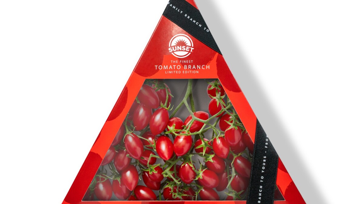 Discover the SUNSET® Tomato Branch: Innovative Packaging