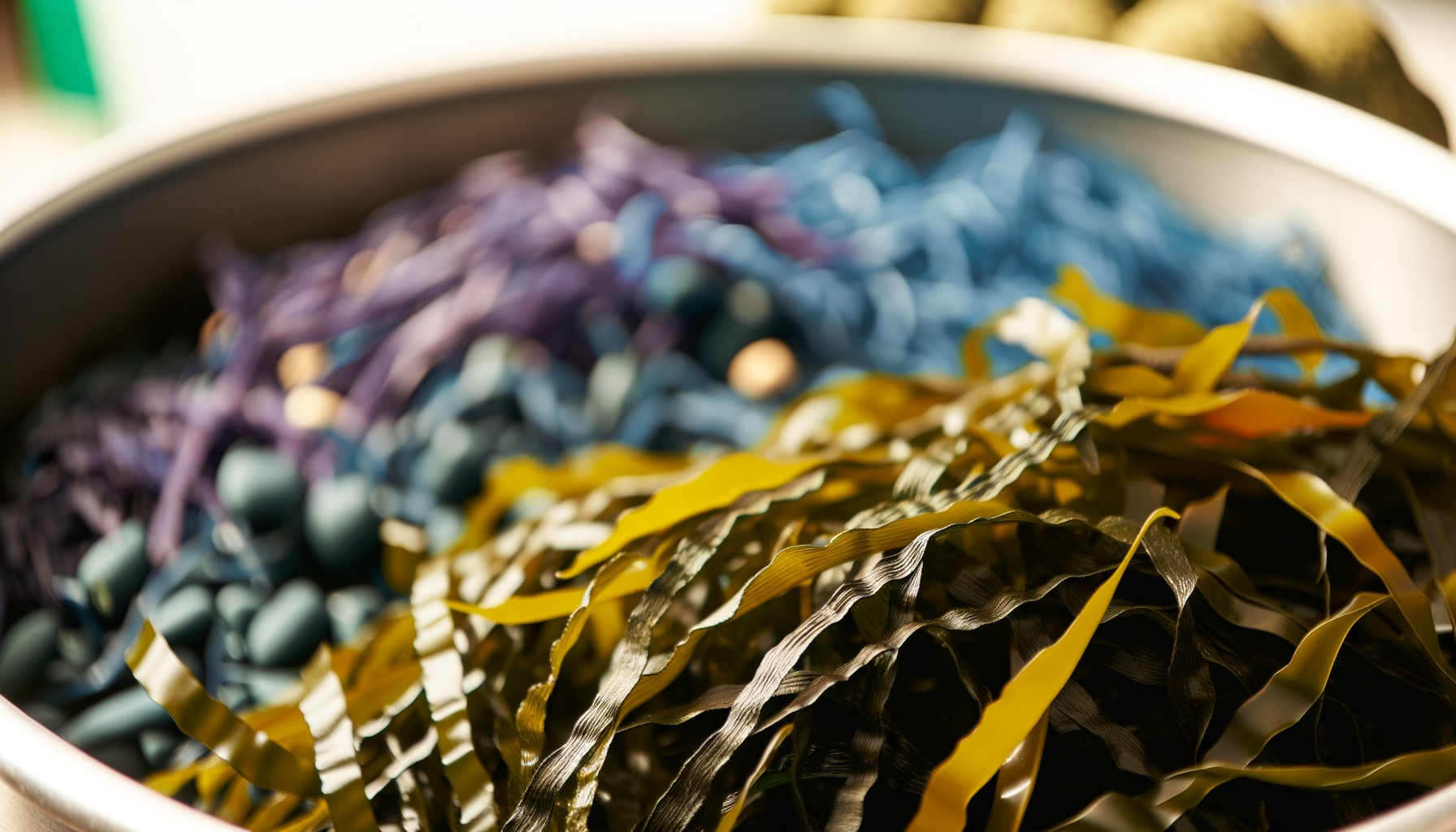 Sustainable seafood options showcased on a plate.