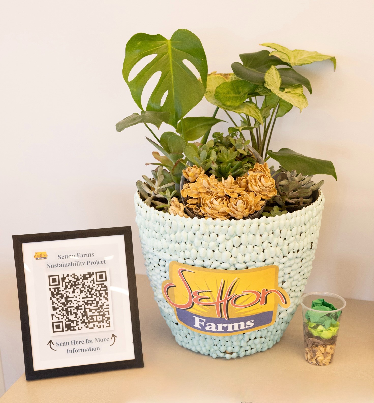 2nd Place Winner. Setton Farms Earth Day Scholarship 2026.jpeg