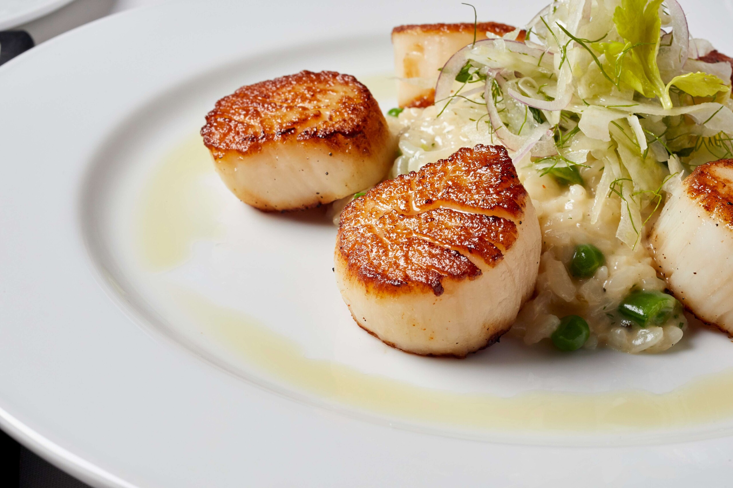 Sea Scallops