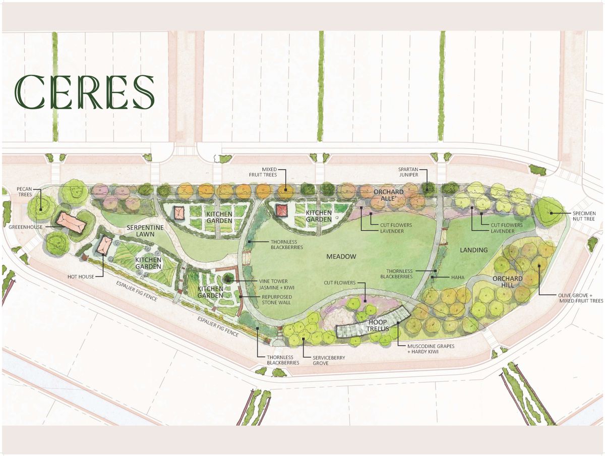 CERES Chatt Hills_The Frond