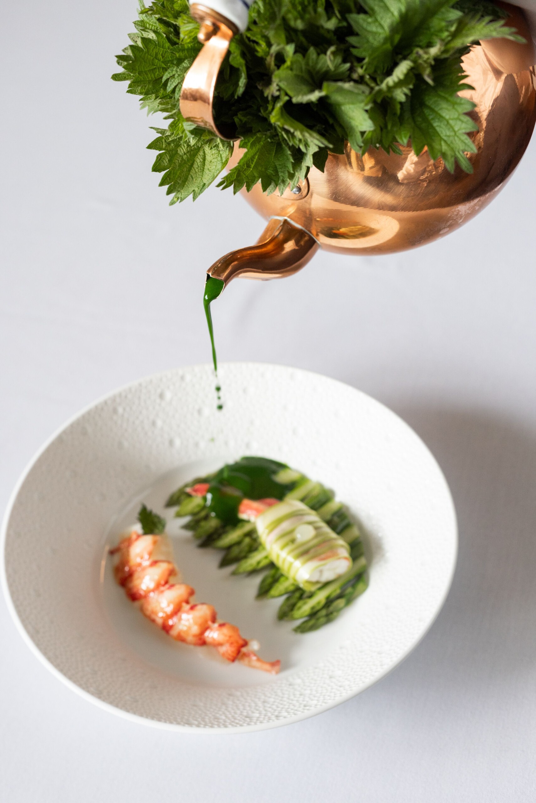 Aurelia Local Lobster