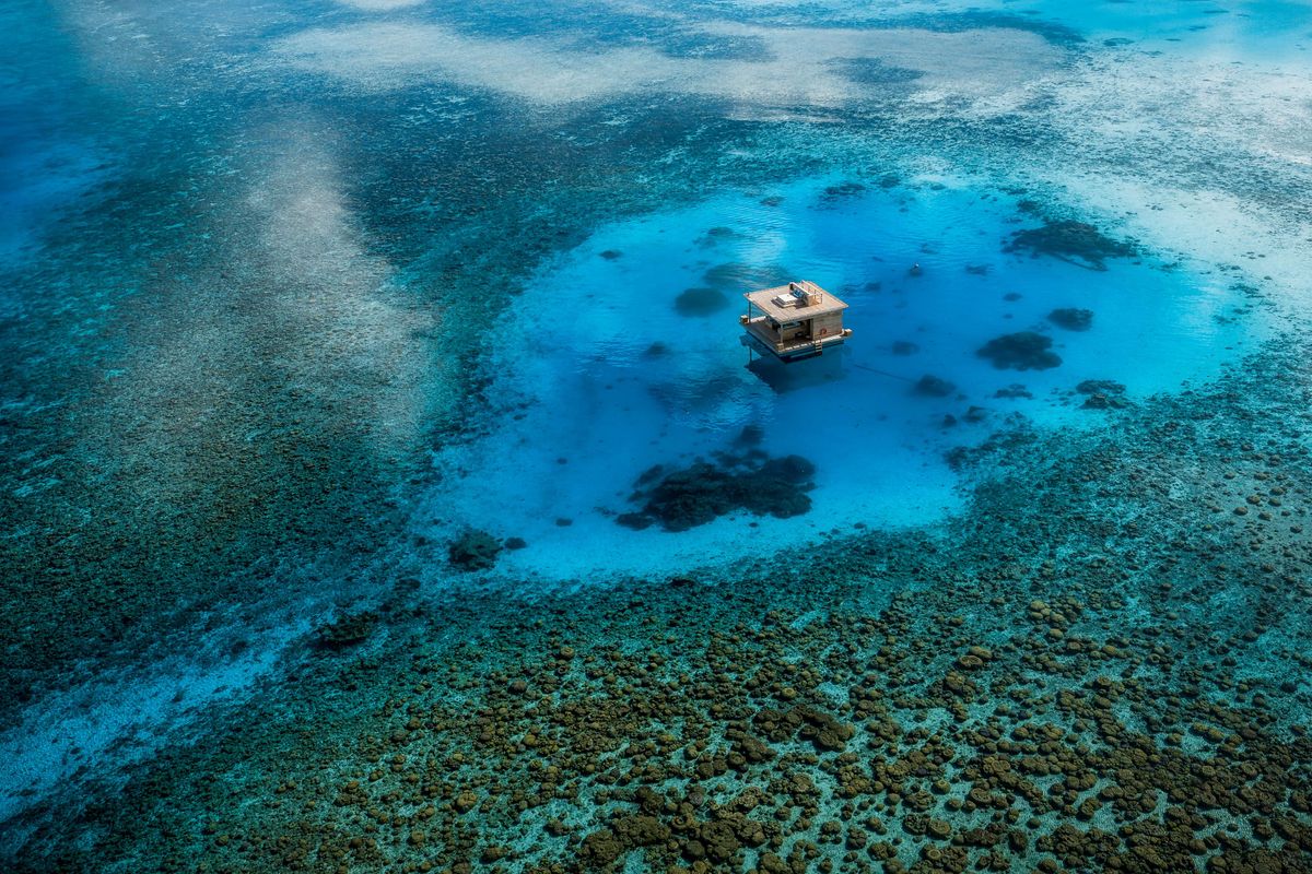 Underwater-Room-Embeded-in-Coral-Reef